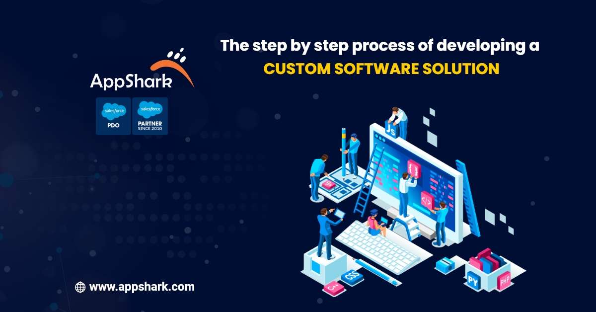 Custom Software Development Process