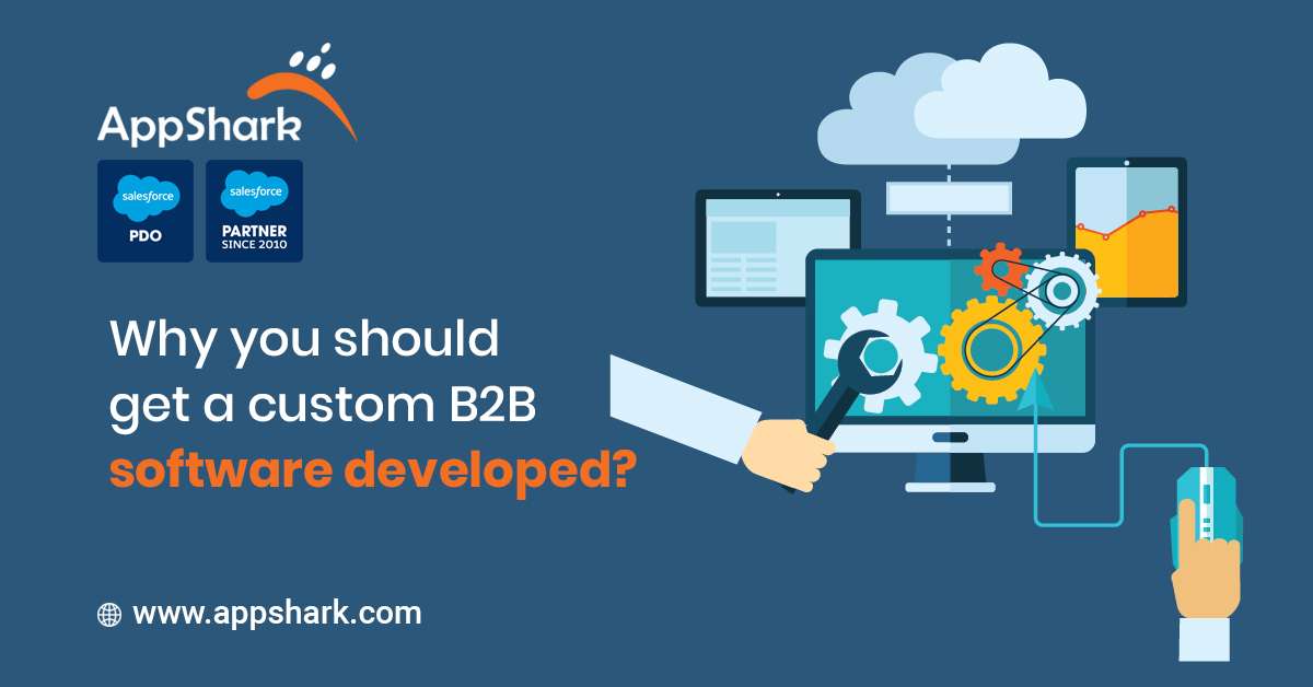 B2B Custom Software advantages